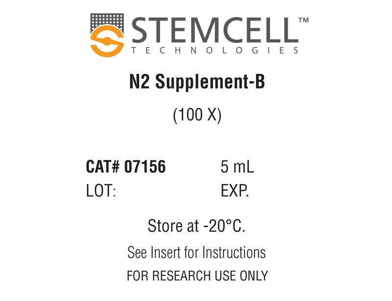 N2 Supplement-B