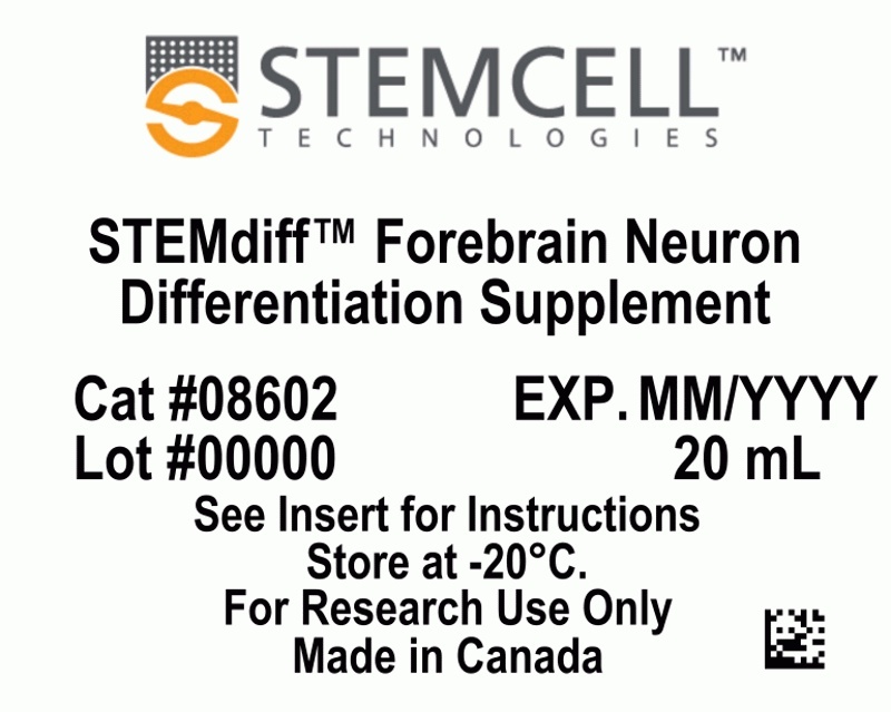 کیت تمایز نورون‌های پیش‌مغزی STEMdiff™