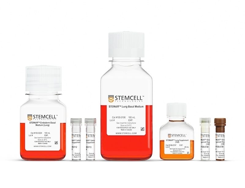 کیت ارگانوئید ریه شاخه‌ای STEMdiff™