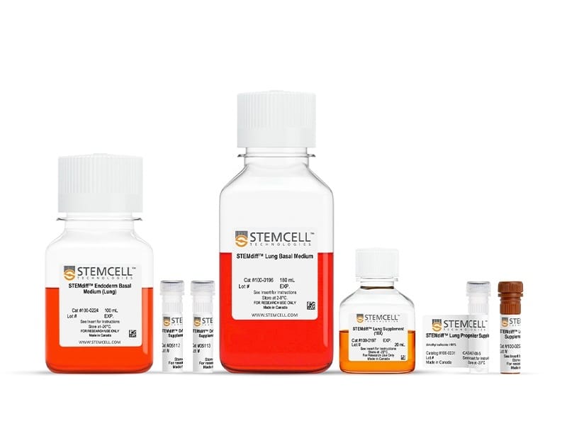 کیت پیش‌ساز ریه STEMdiff™