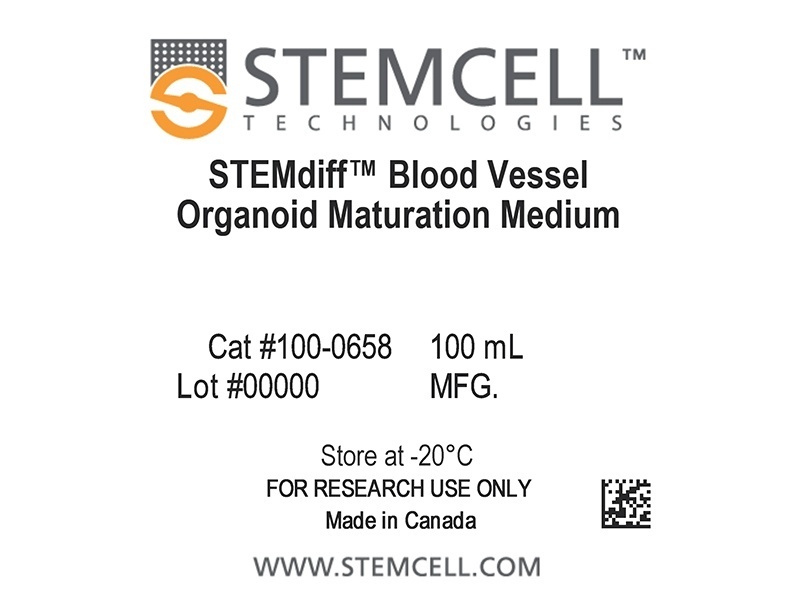 محیط بلوغ ارگانوئید عروق خونی STEMdiff™