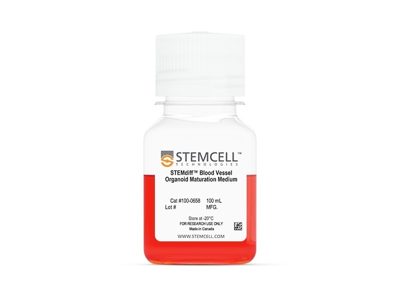 محیط بلوغ ارگانوئید عروق خونی STEMdiff™