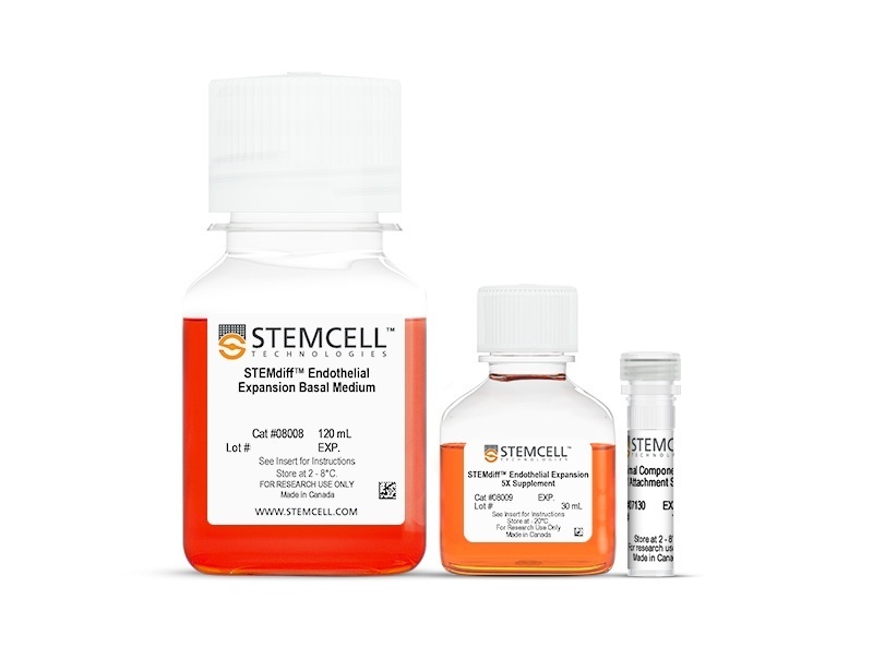 کیت کشت انبساط اندوتلیال STEMdiff™