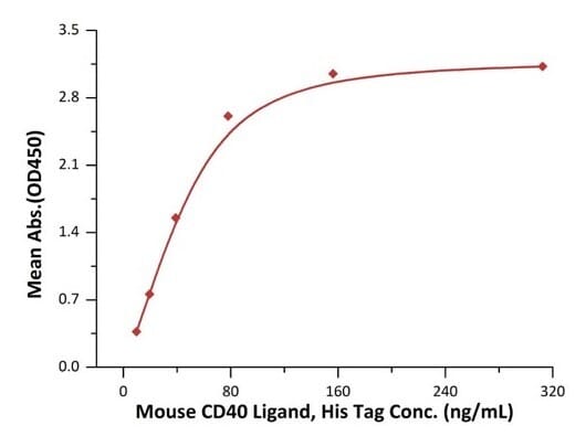 CD40 نوترکیب موشی (از سلول‌های HEK293)