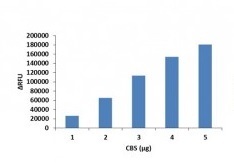 CBS نوترکیب انسانی (از E. coli)