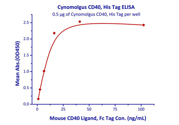 میمون سینومولگوس CD40 نوترکیب (از سلول‌های HEK293)